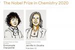 Назвали лауреатів Нобелівської премії з хімії-2020. Що вони відкрили